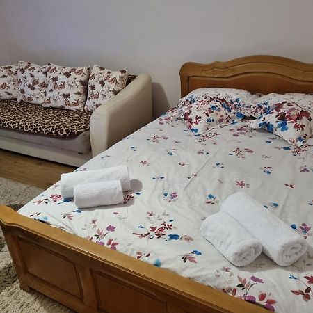 Garsoniera Emilia Apartment Campulung Moldovenesc Ngoại thất bức ảnh