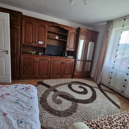 Garsoniera Emilia Apartment Campulung Moldovenesc Ngoại thất bức ảnh