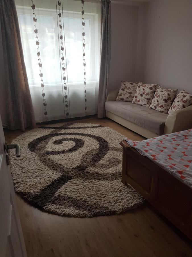Garsoniera Emilia Apartment Campulung Moldovenesc Ngoại thất bức ảnh
