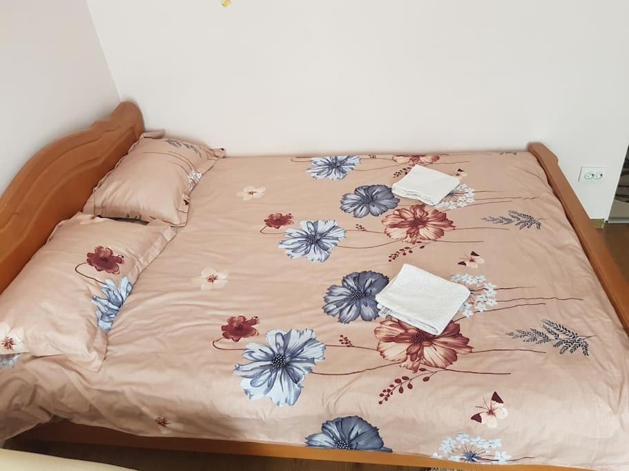 Garsoniera Emilia Apartment Campulung Moldovenesc Ngoại thất bức ảnh