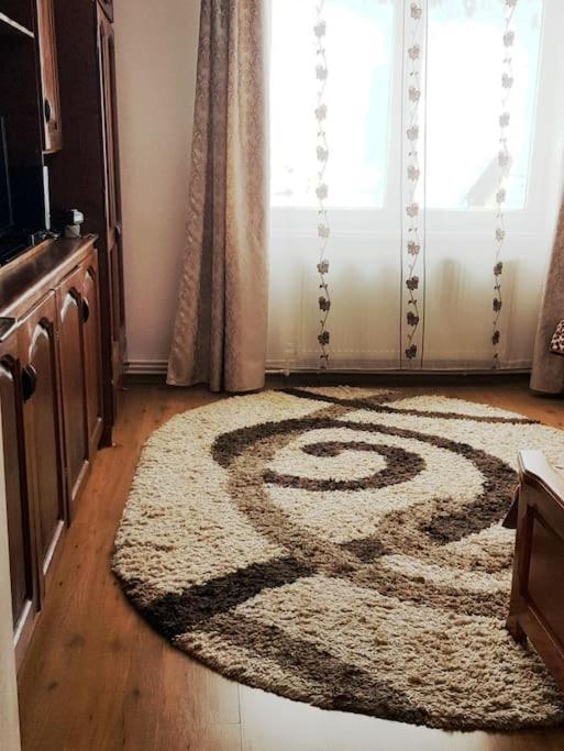 Garsoniera Emilia Apartment Campulung Moldovenesc Ngoại thất bức ảnh