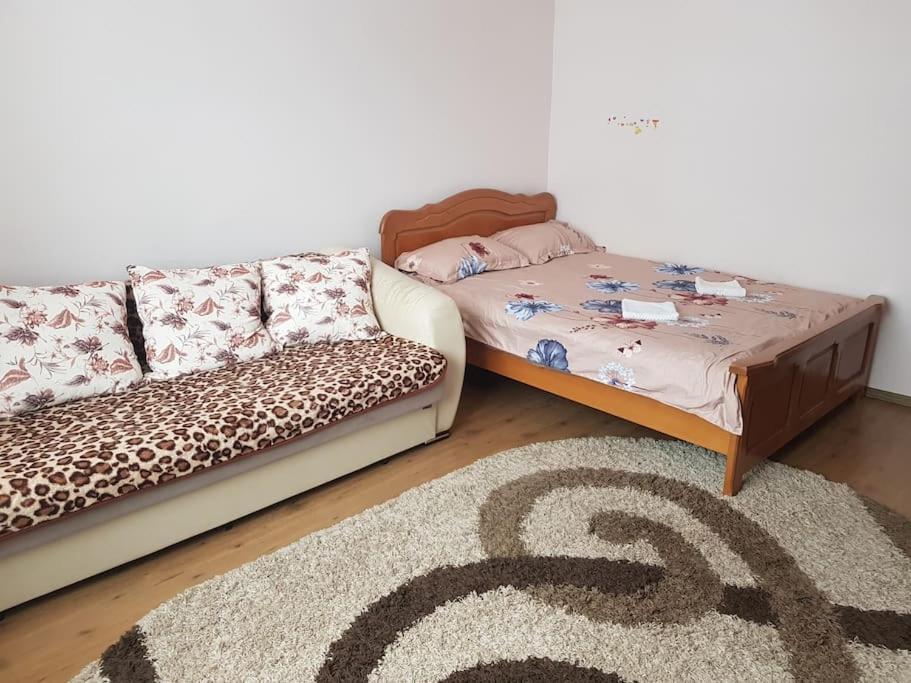 Garsoniera Emilia Apartment Campulung Moldovenesc Ngoại thất bức ảnh