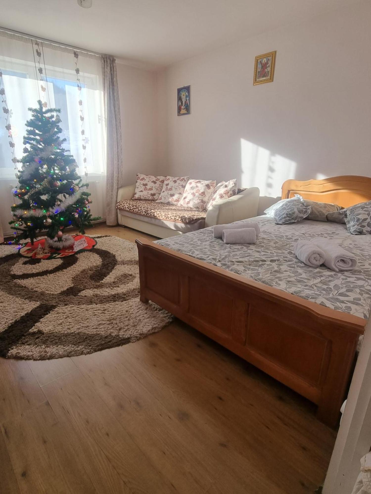 Garsoniera Emilia Apartment Campulung Moldovenesc Ngoại thất bức ảnh