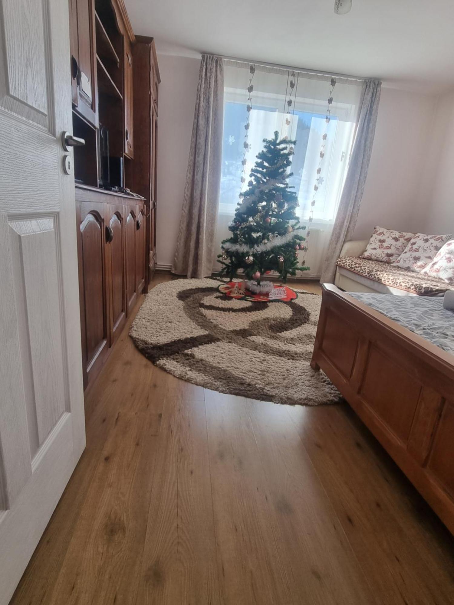 Garsoniera Emilia Apartment Campulung Moldovenesc Ngoại thất bức ảnh